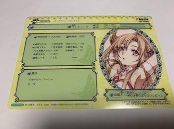ソードアート・オンライン クリアステータスカード 小冊子 Amazon.co.jp: ソードアート オンライン クリアステータスカード